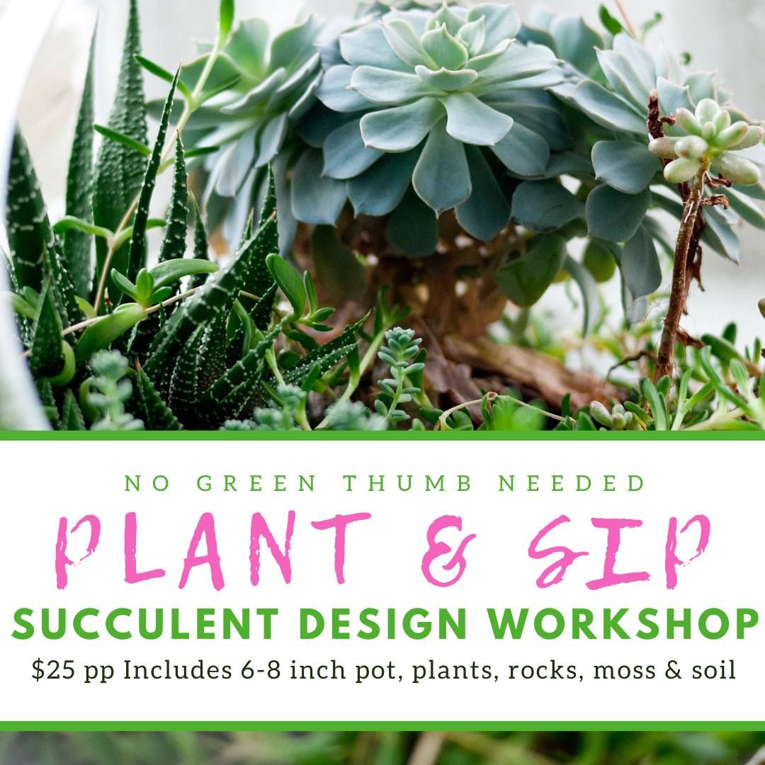 Succulent Centerpiece Workshop