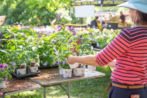 Chadwick Arboretum Spring Plant Sale and Auction Fundraiser