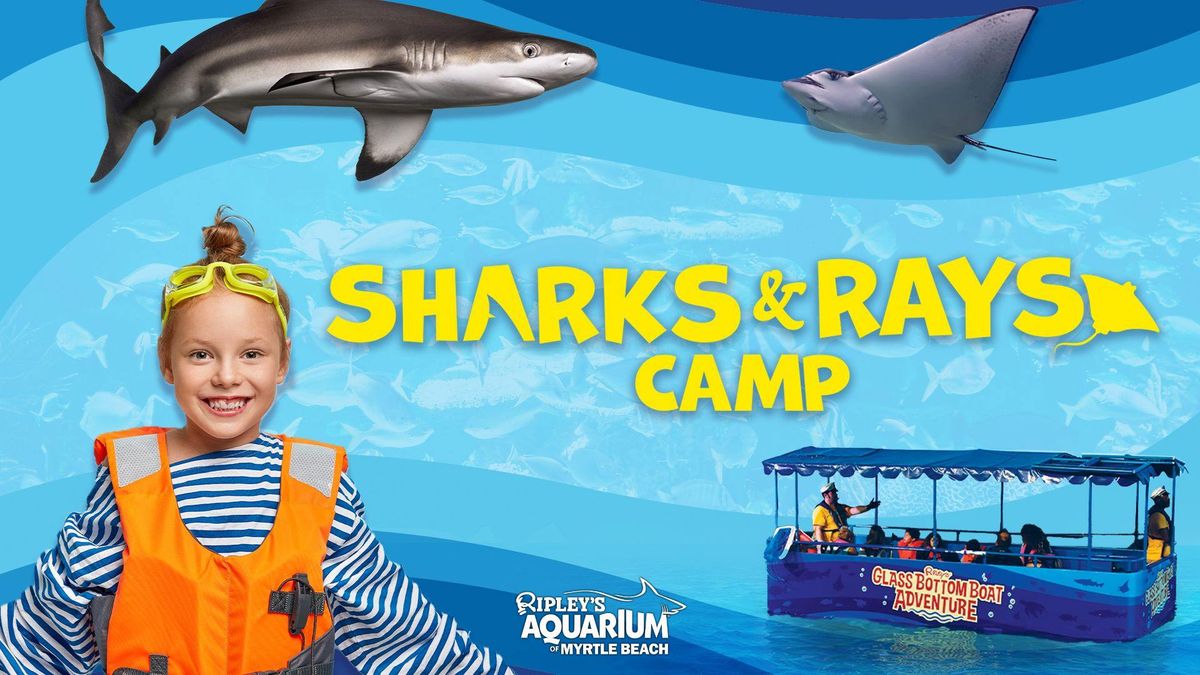 Sharks and Rays Camp at Ripley's Aquarium