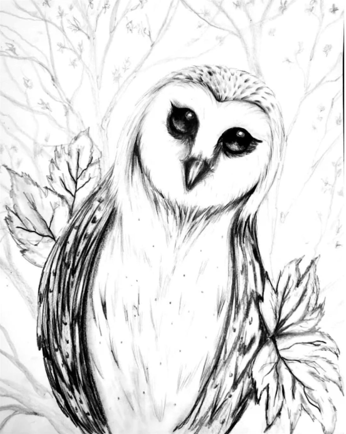 Drawing with Cree: Black & White Owl