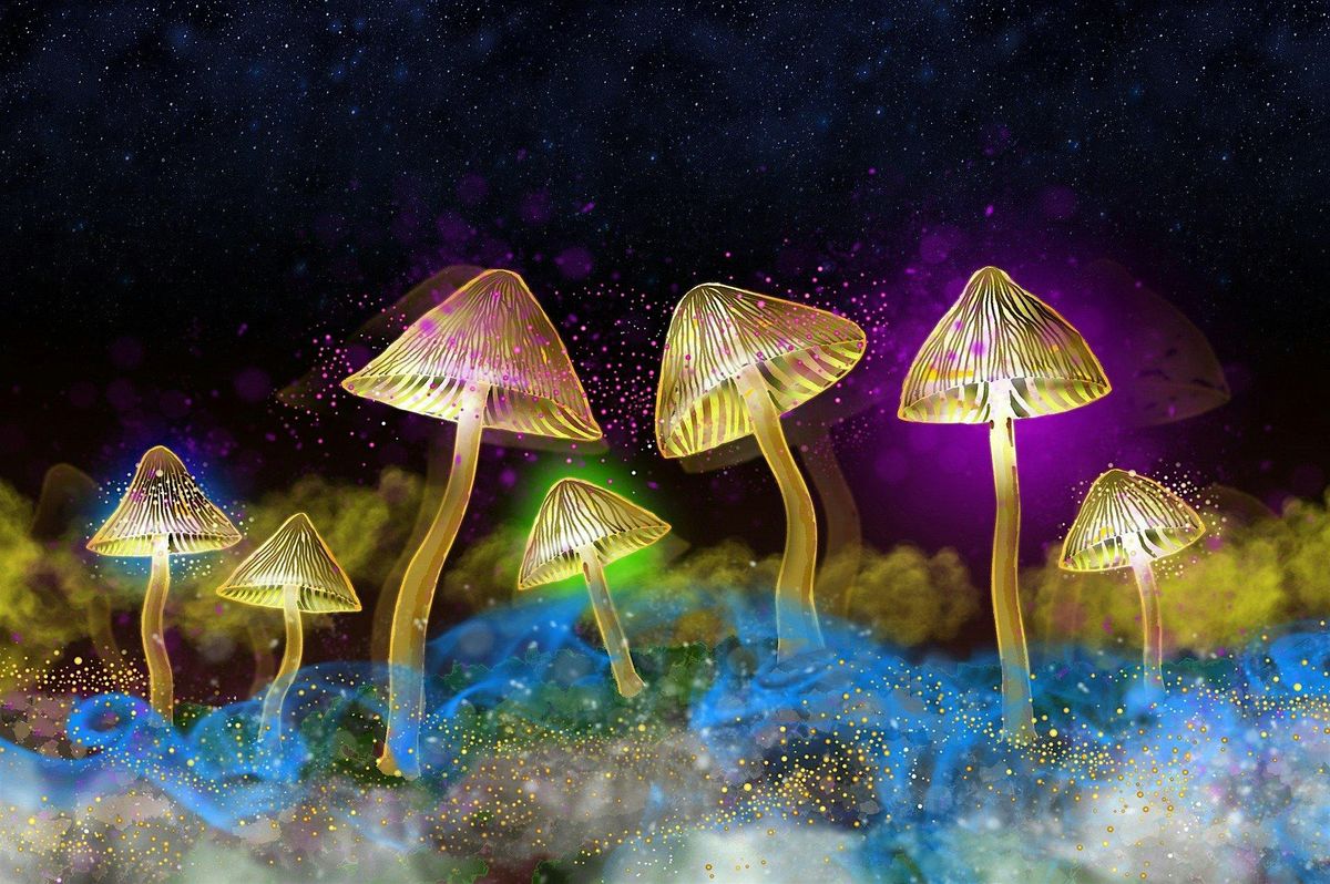 The Science of Psychedelics with Dr Sam Gandy