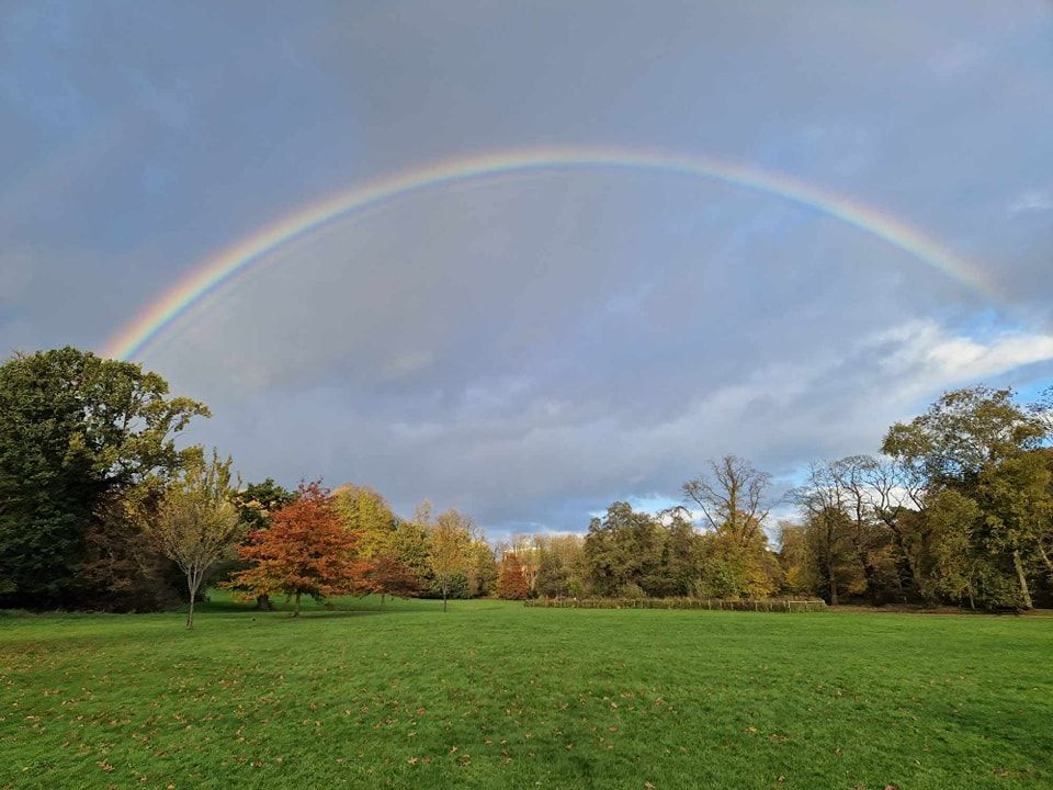 Weekend volunteering sessions in Manor Farm Park