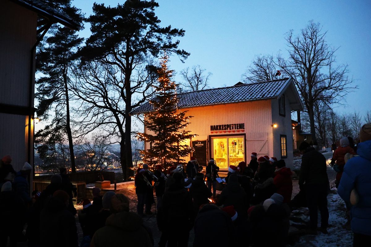 Julegrantenning i Ekebergparken! 