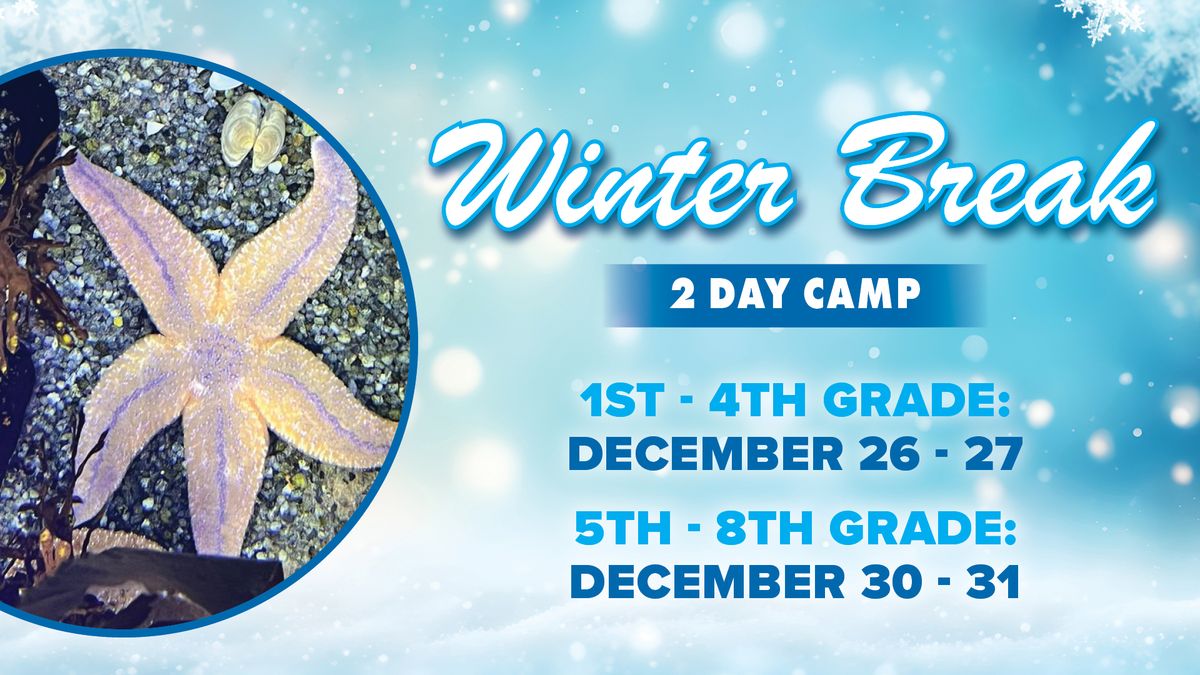 Winter Break 2 Day Camp