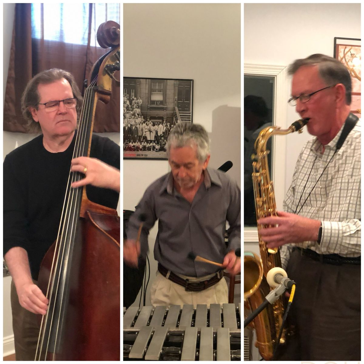 Monocacy Jazz Trio Friday Music at the Shed