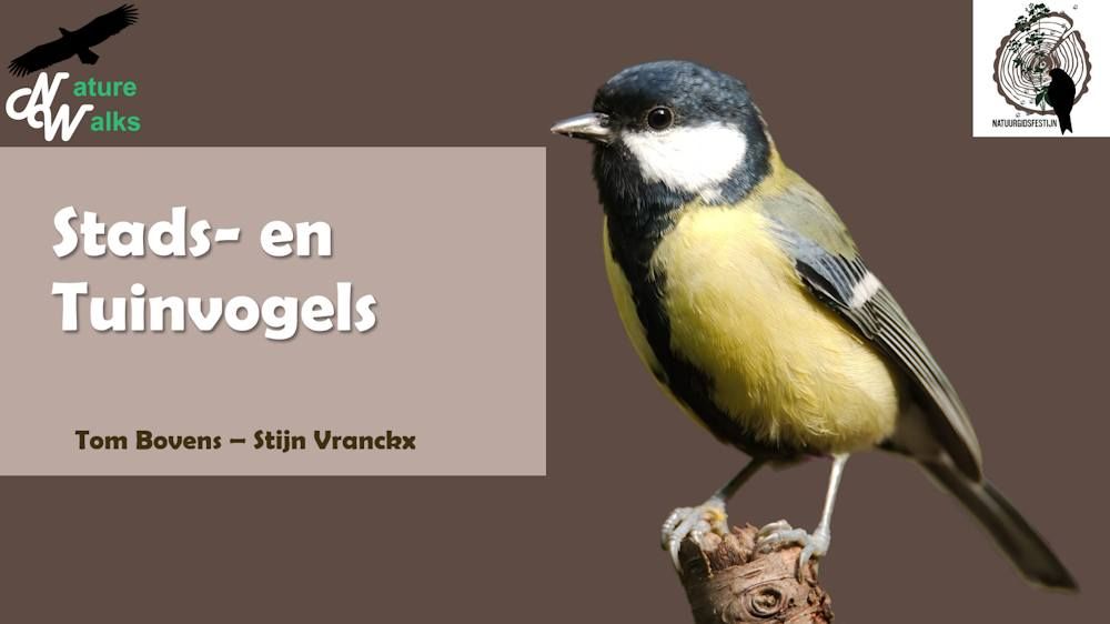 Cursus Stads- en Tuinvogels