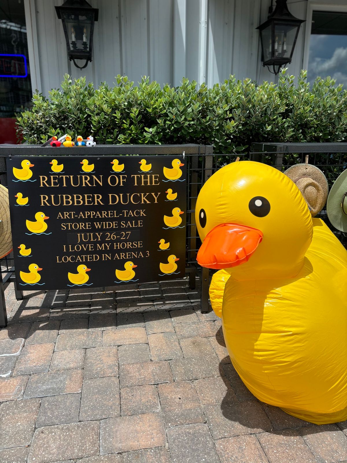 Return of the Rubber Ducky Sale!