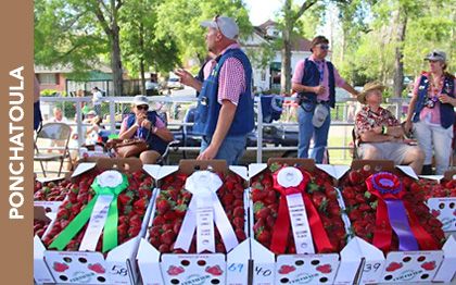 PONCHATOULA STRAWBERRY FESTIVAL