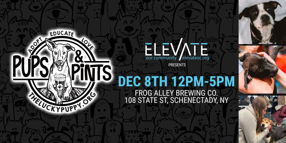 Elevate OC Presents: The 4th Annual Pups & Pints Fundraiser