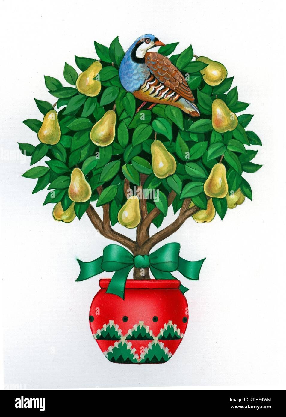 Bam, Bird, in a Pear Tree