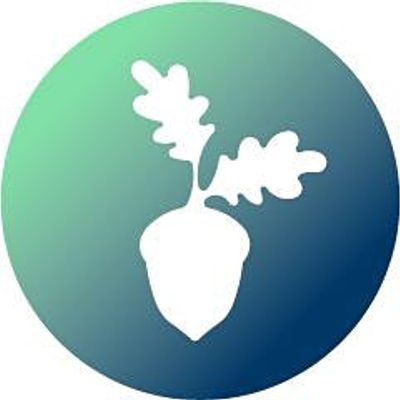 Young Ealing Foundation