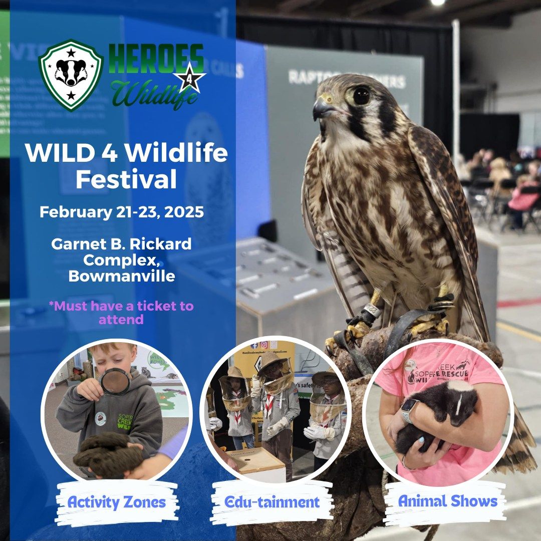 WILD 4 Wildlife Festival