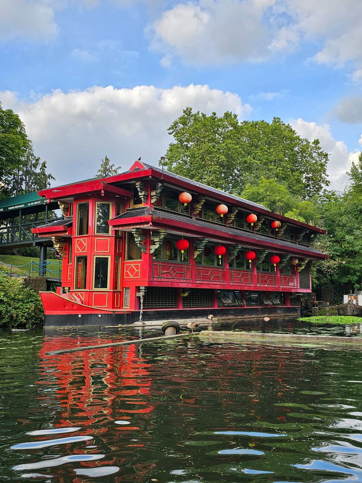 Regent's Canal Safari 