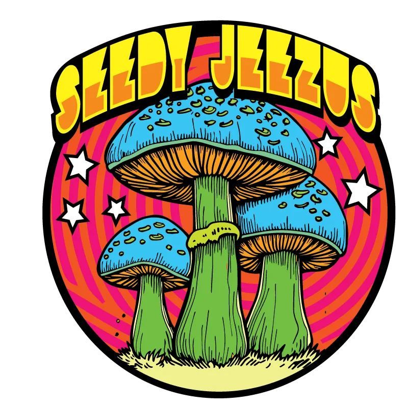 Seedy Jeezus [AUS] \/ Child [AUS]