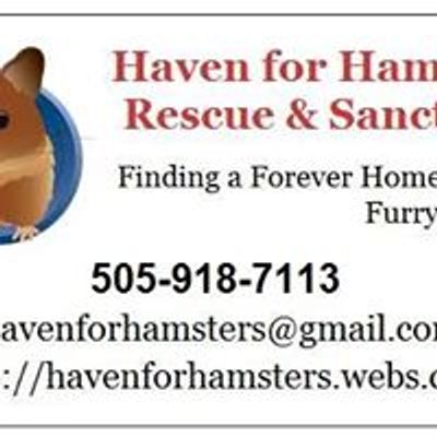 Haven for Hamsters Rescue & Sanctuary