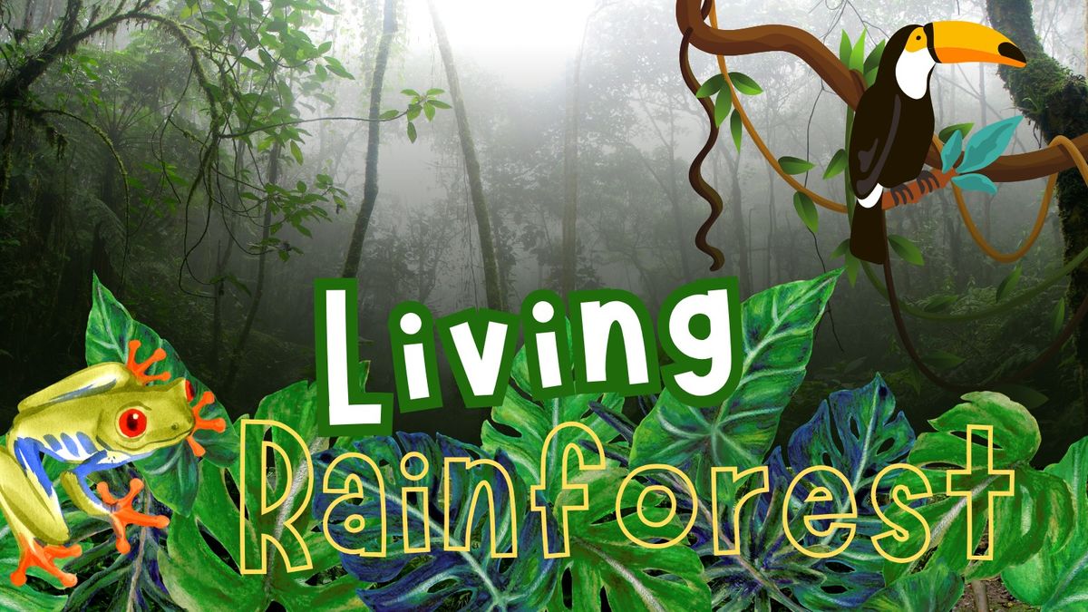 Living Rainforest