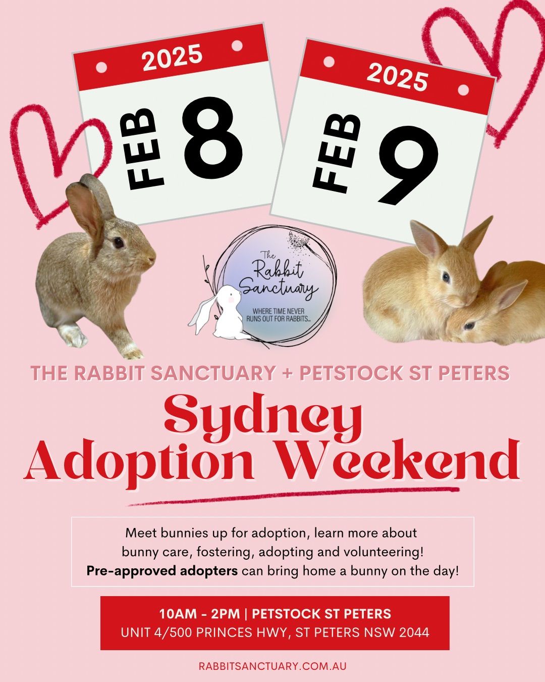 The Rabbit Sanctuary Sydney Bunny Adoption Weekend \ud83d\udc30\ud83e\ude75 