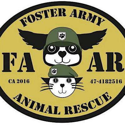 Foster Army Animal Rescue