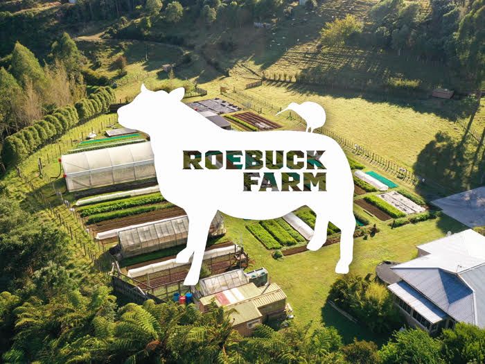 Roebuck Farm Spring Harvest Long Table Lunch + Workshop 