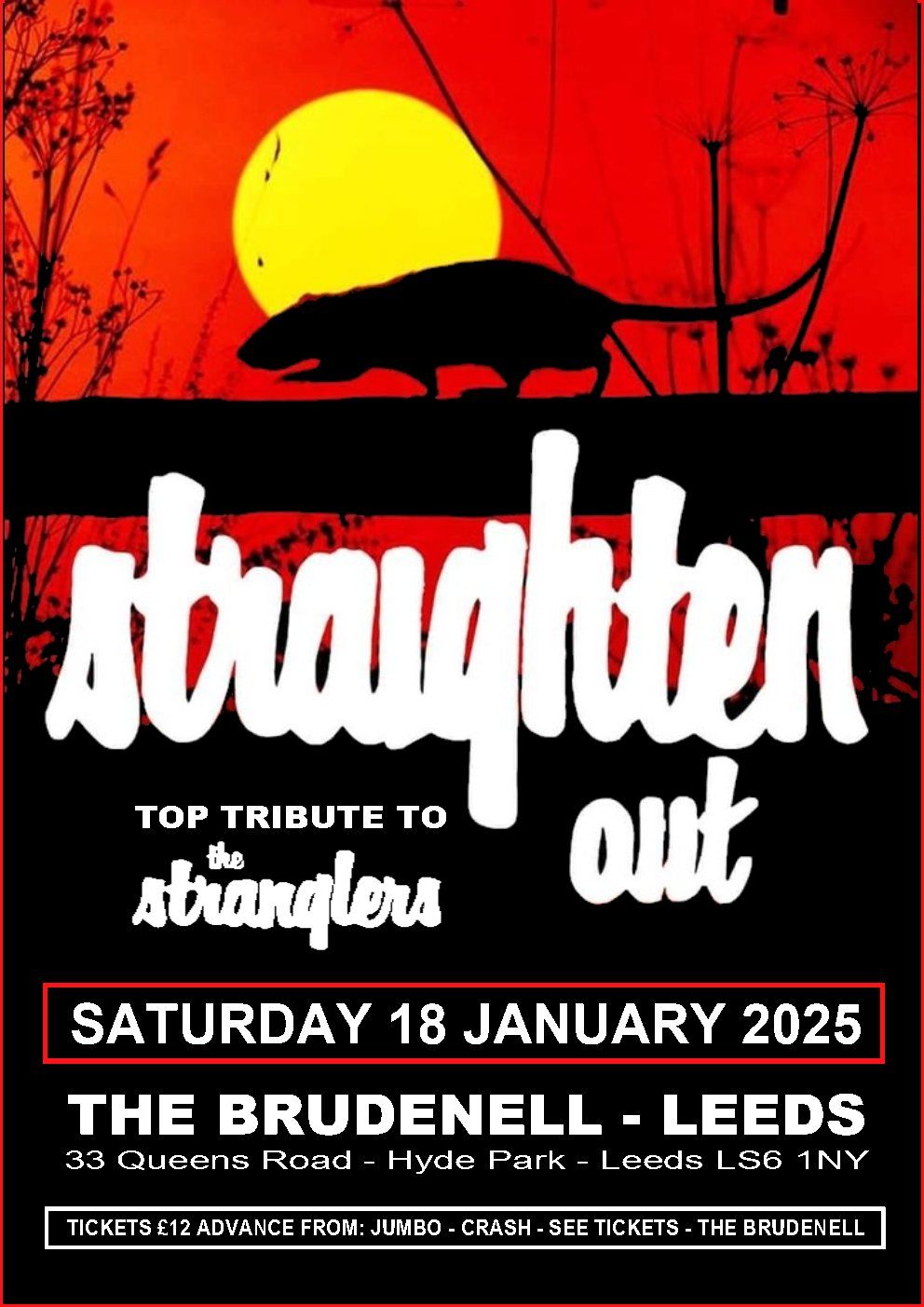 Straighten Out - The Stranglers Tribute, Live at The Brudenell