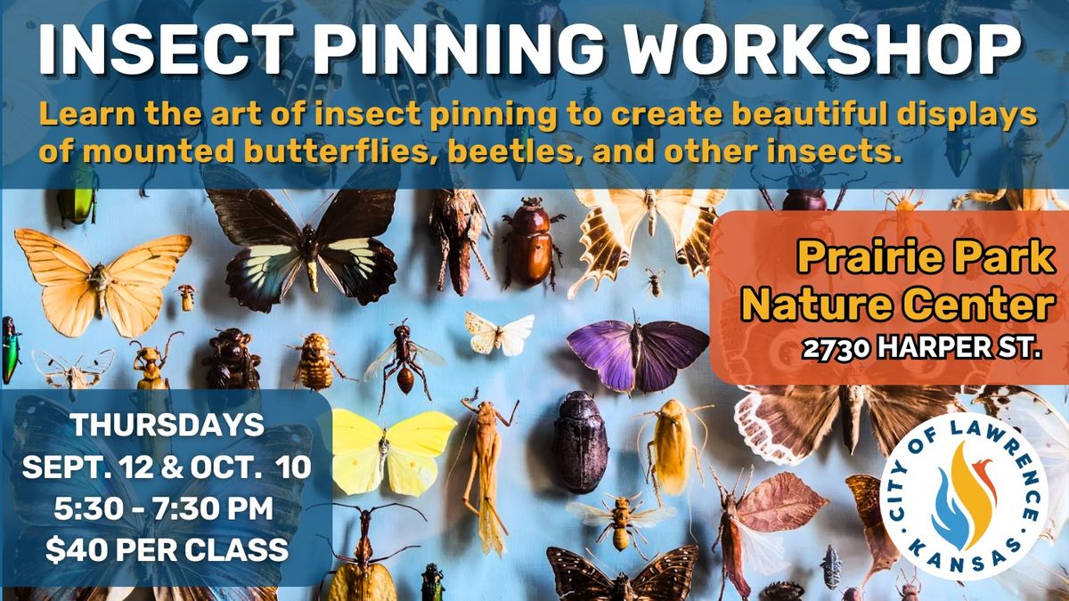 Insect Pinning 