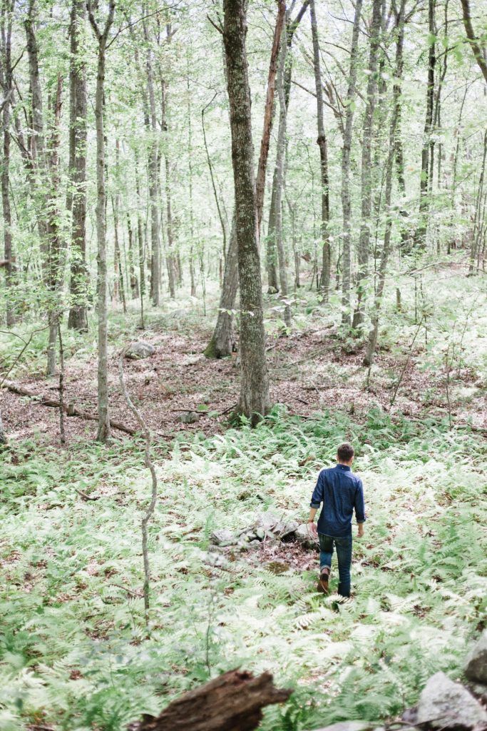 Winter Tree Identification Hike