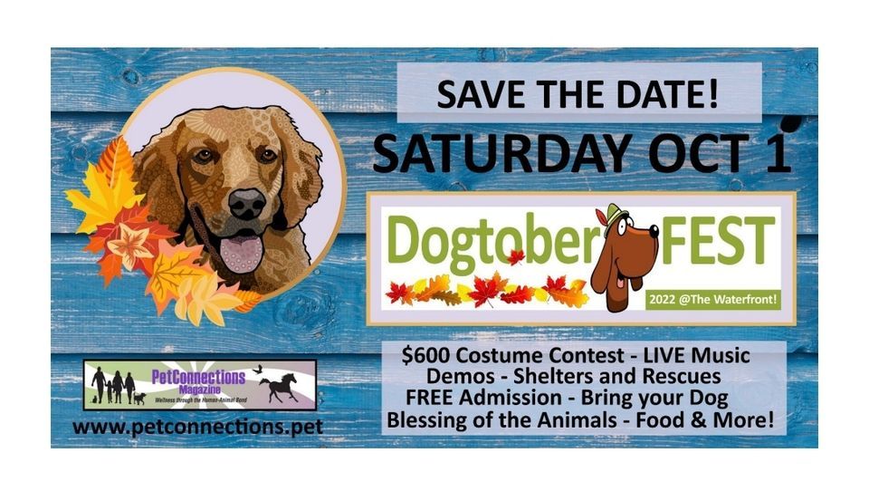 DogtoberFEST 2022, The Waterfront, Homestead, 1 October 2022