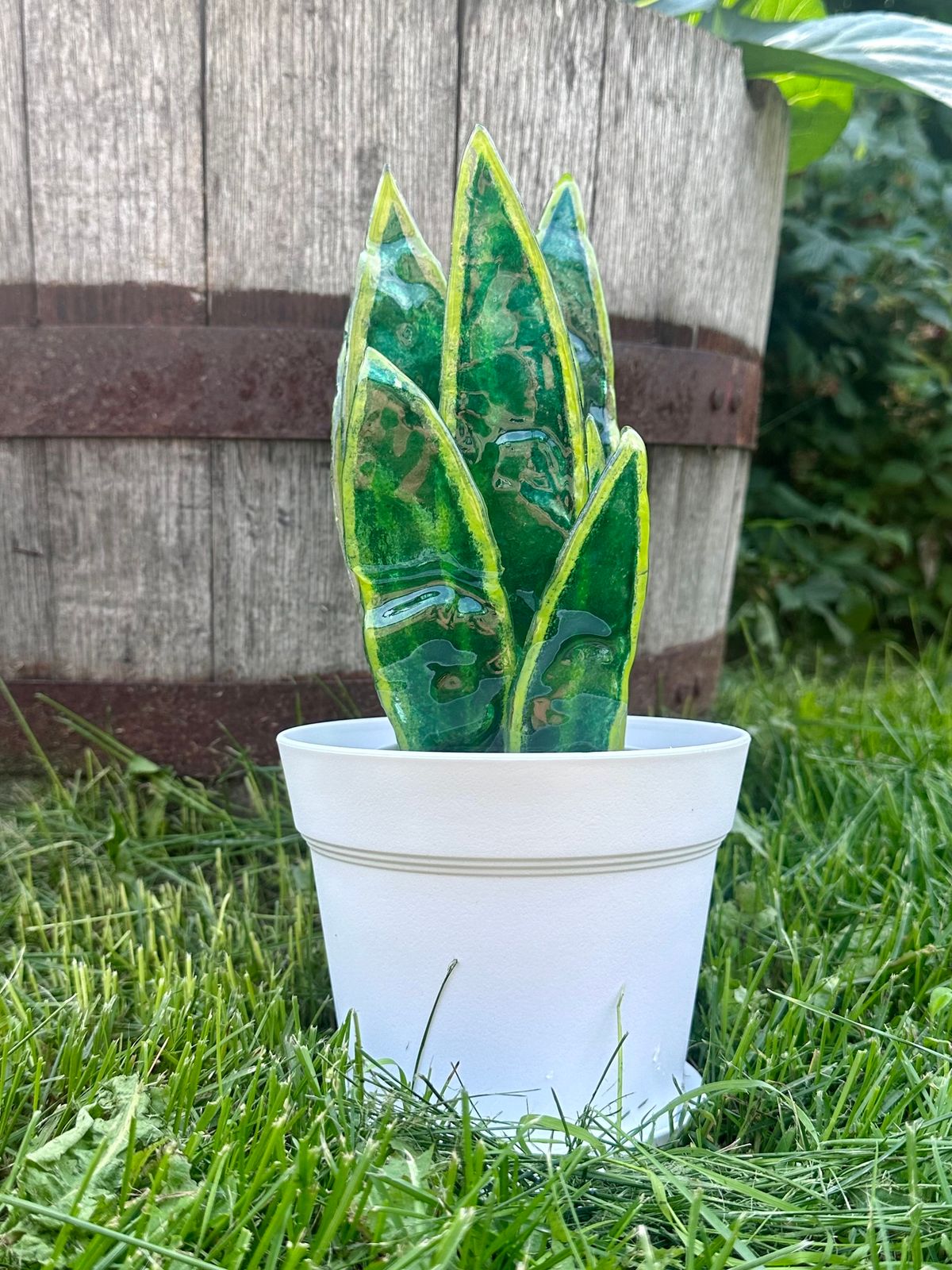 Fused Glass Snake Plant Workshop