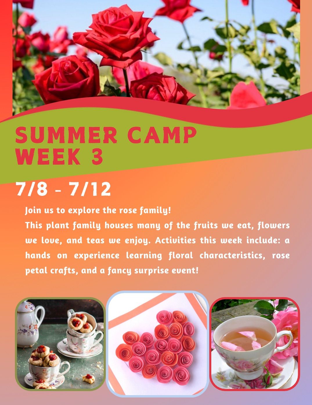 Summer Camp- Week 3