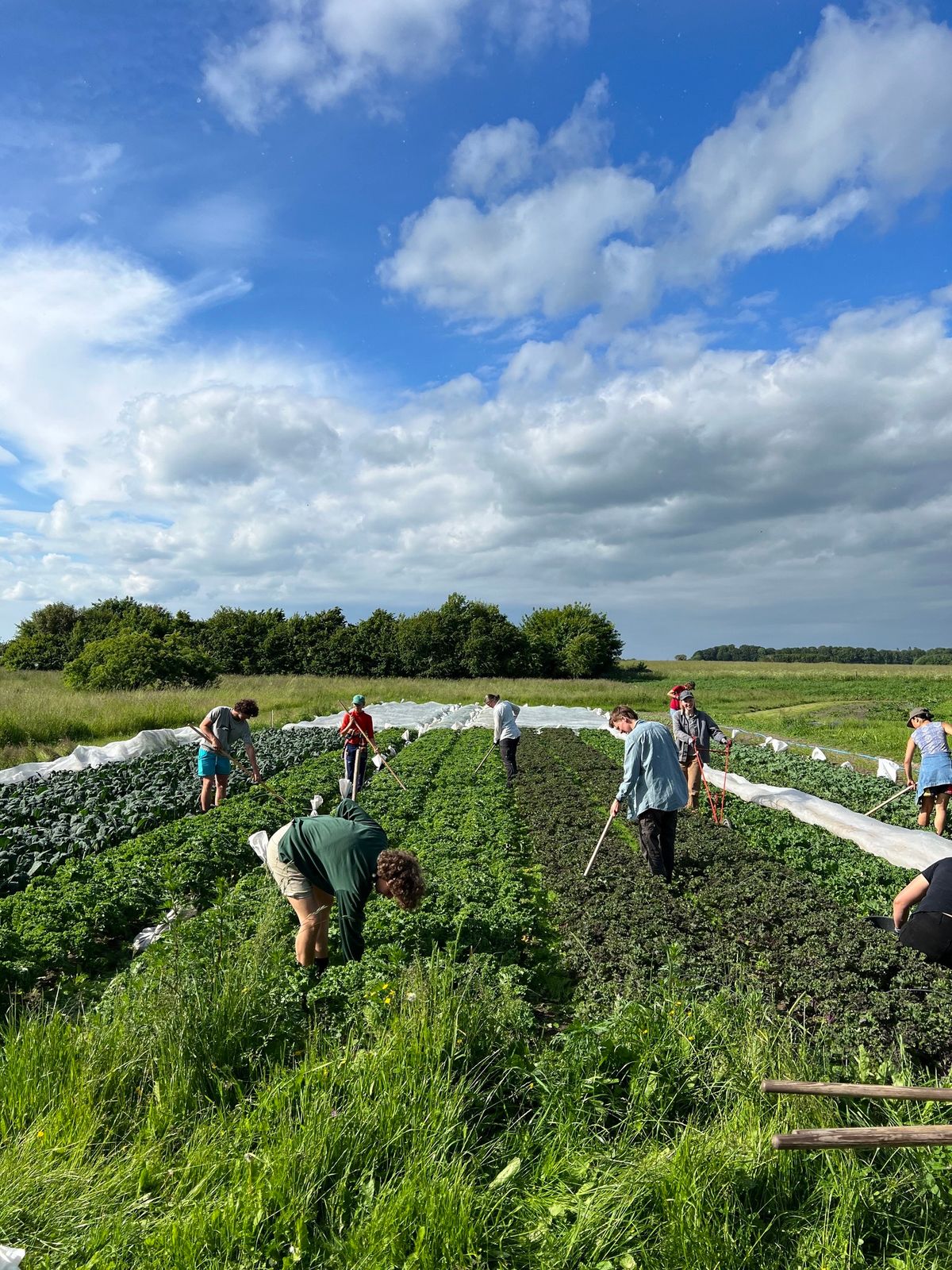 Farmer Fitness p\u00e5 Den Lille Mark Andelsgaarde