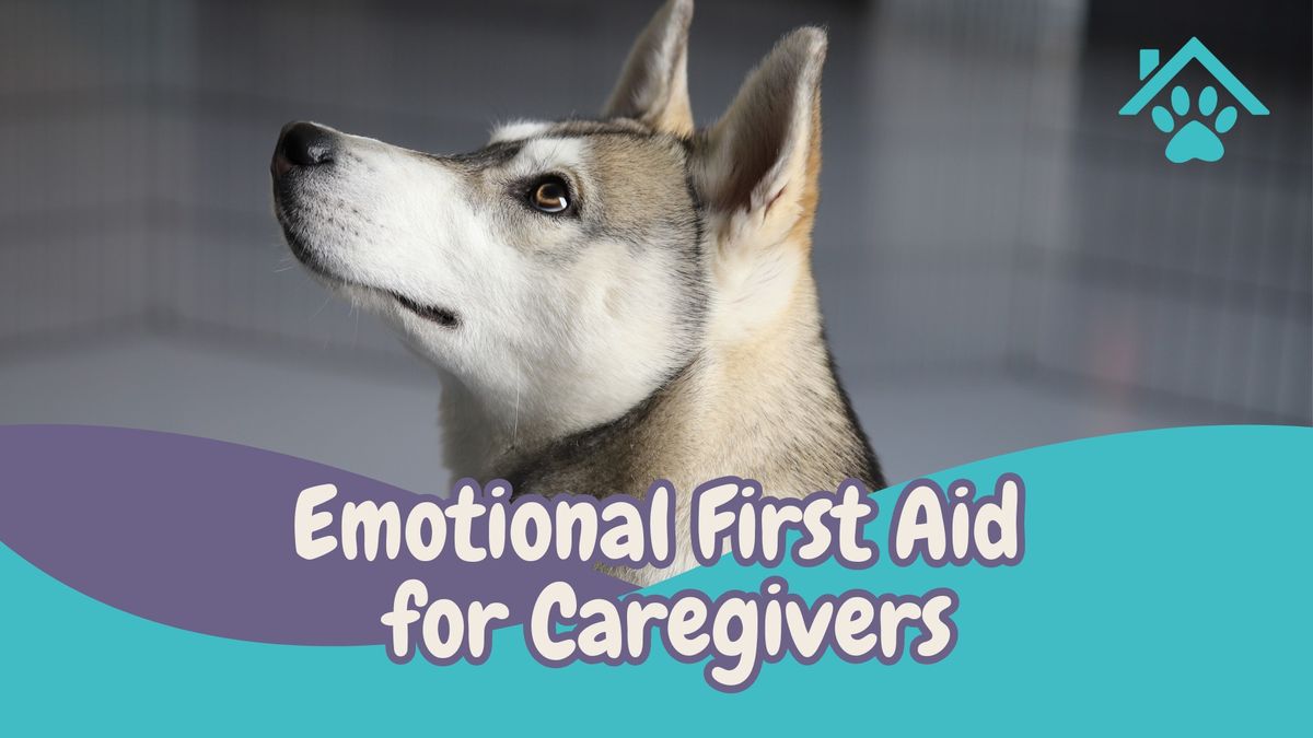 Emotional First Aid for Caregivers