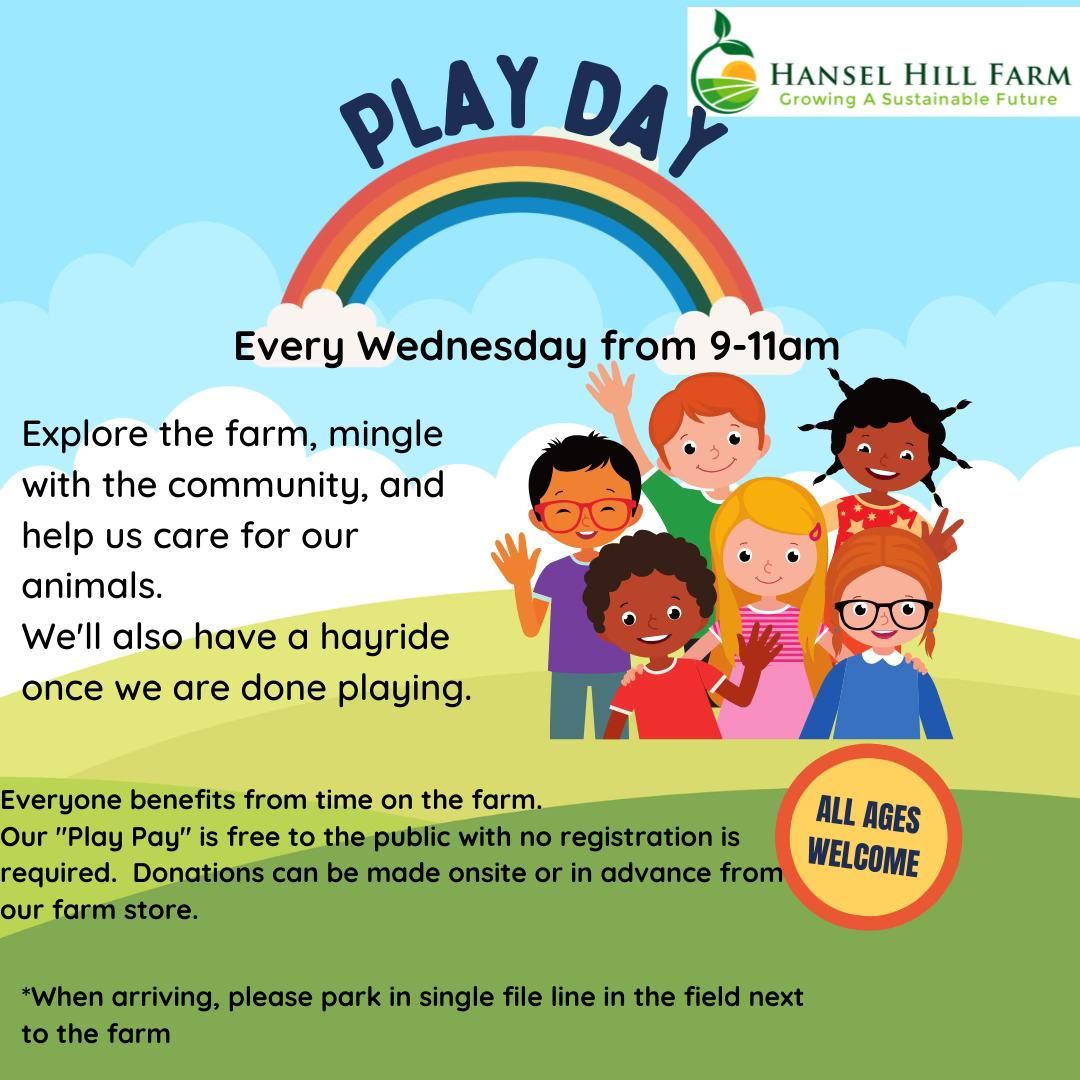 Play Day at Hansel Hill Farm