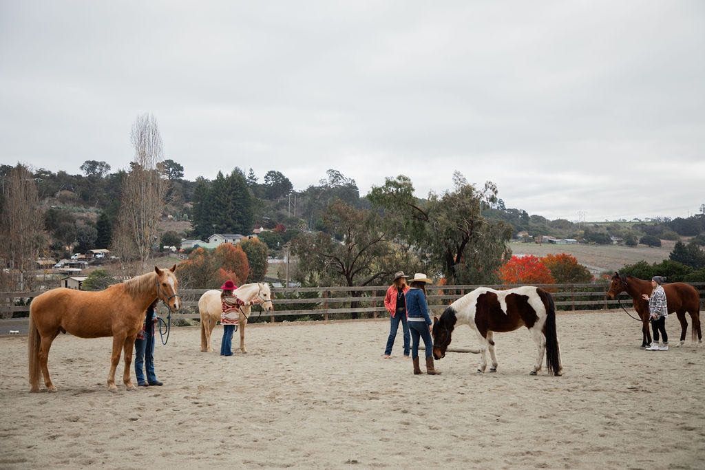 Awaken Your Inner Light: Equine Healing Retreat in Santa Cruz, CA