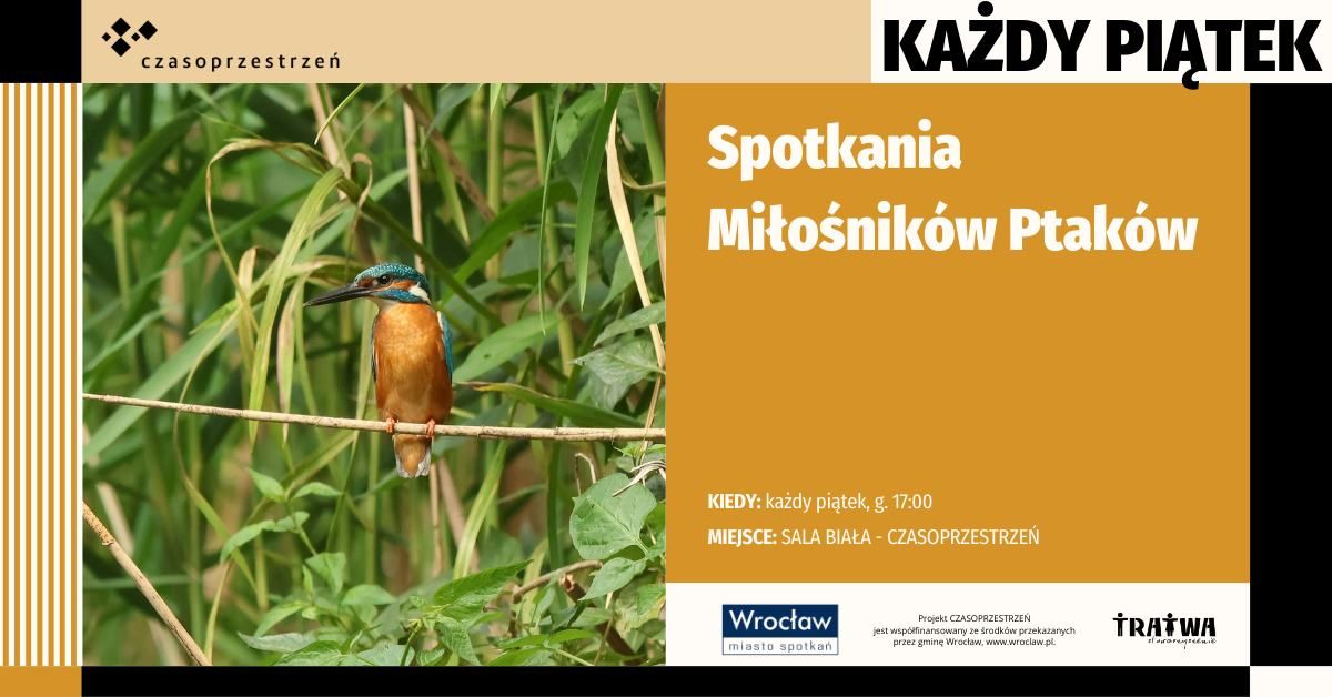 Spotkania Mi\u0142o\u015bnik\u00f3w Ptak\u00f3w w Czasoprzestrzeni