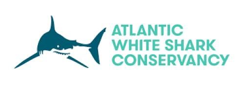 The Truth About Sharks with the Atlantic White Shark Conservancy, Ages 4-12