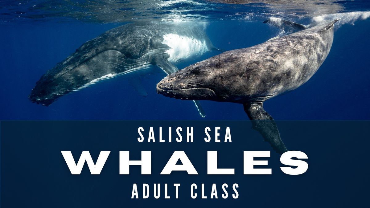 Salish Sea Whales Adult Class