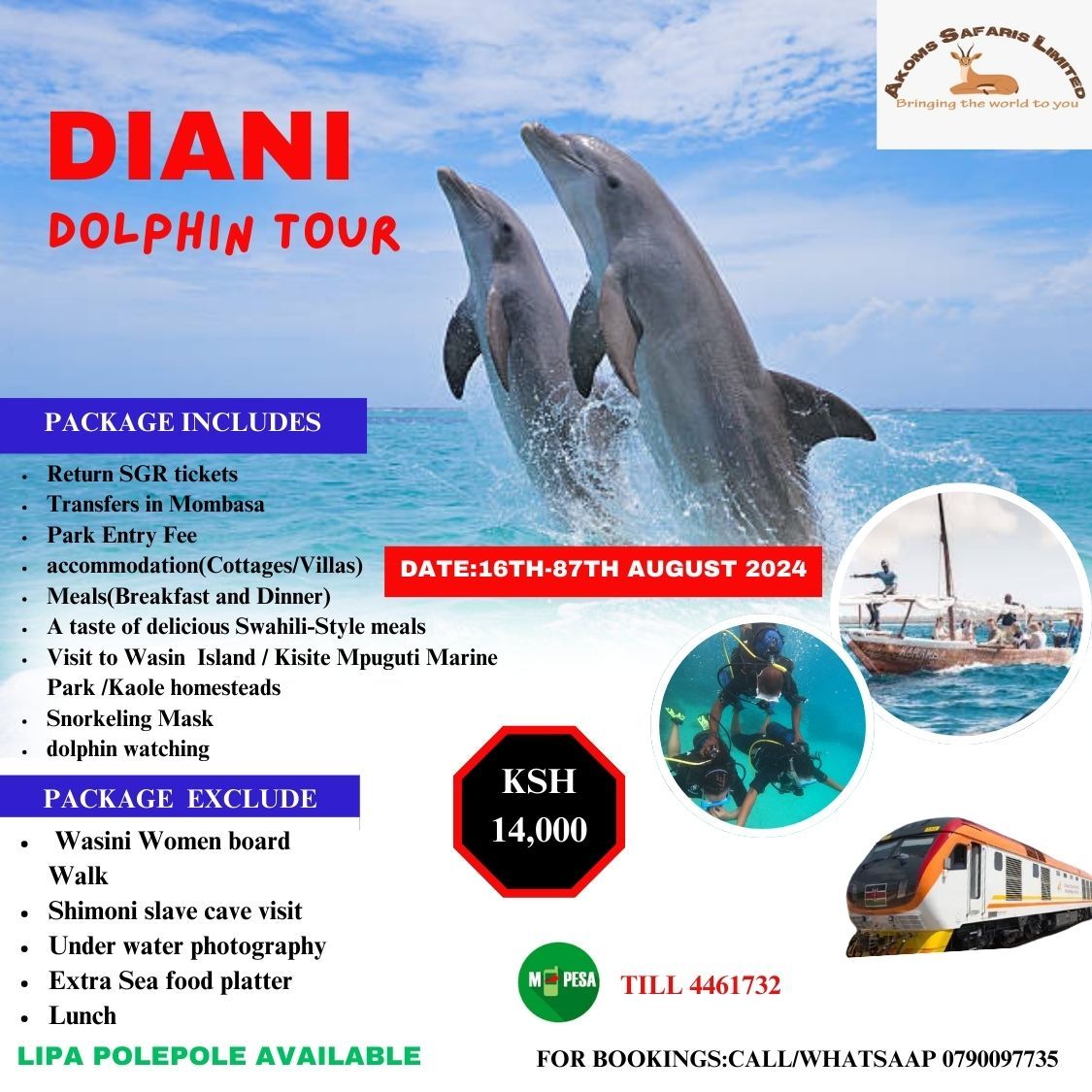 DIANI DOLPHIN TOUR WASINI ISLAND, KISITE MPUGUTI MARINE PARK,KAOLE HOMESTEAD, BEACH,