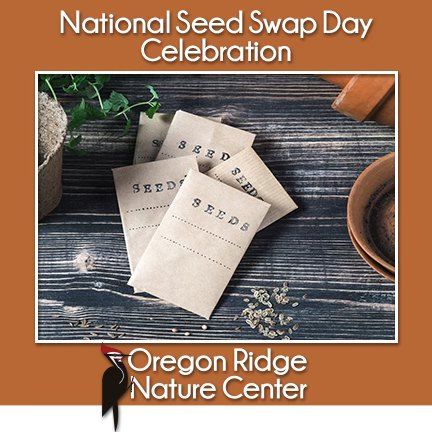 National Seed Swap Day Celebration