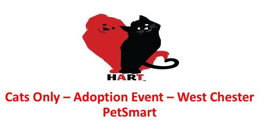 Adoption Event - West Chester PetSmart - Cats only!