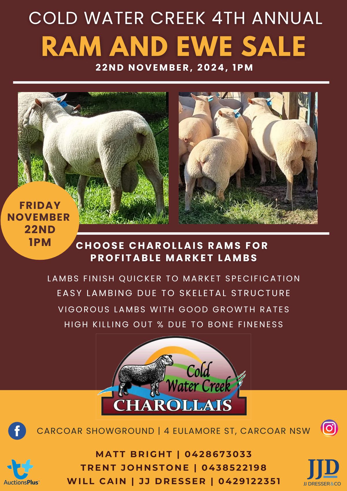 Cold Water Creek Charollais 4th Sale