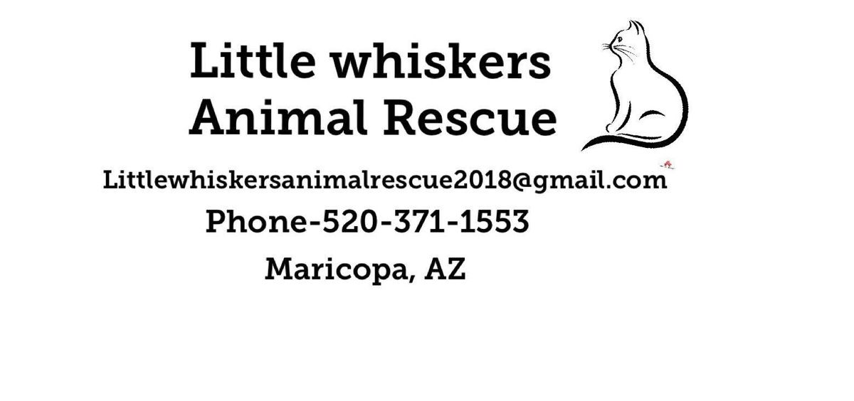 Tempe Petco Adoption Event 