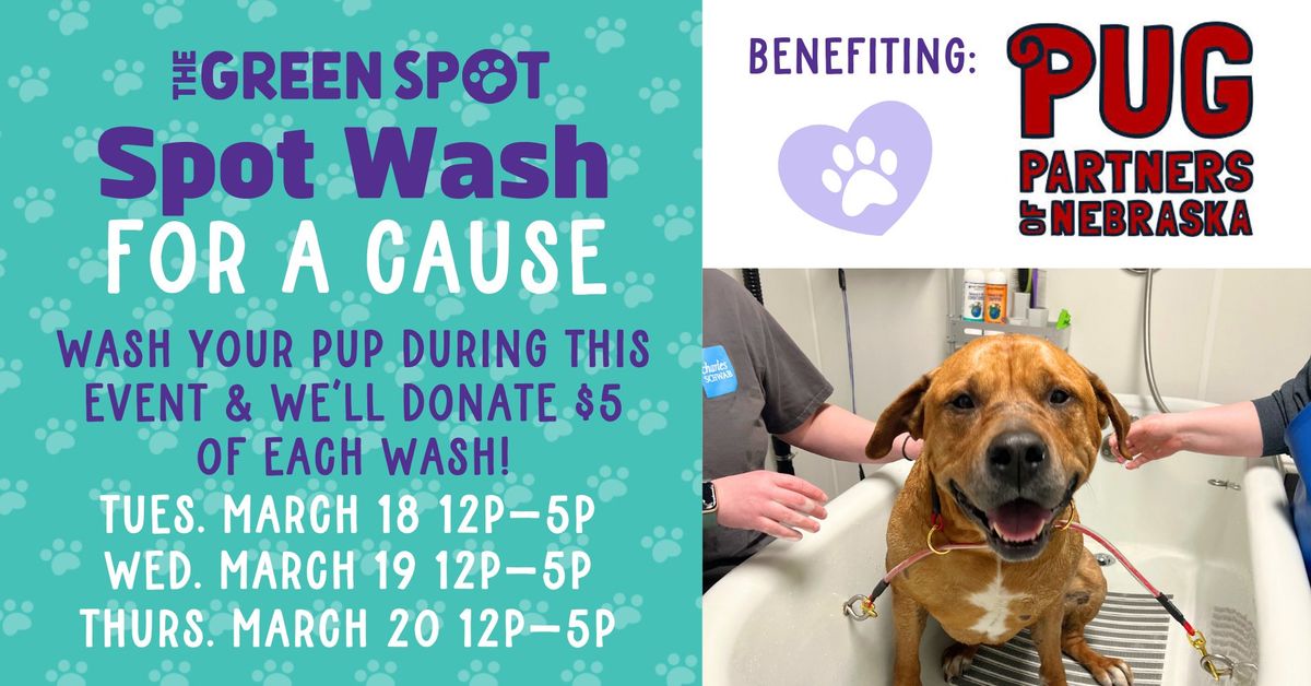 Omaha Dog Wash For A Cause - Support Pet Rescue by Giving Your Dog A Self-Service Bath