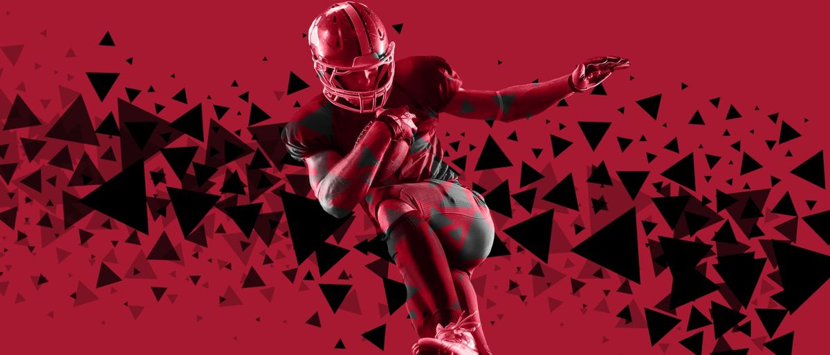 Atlanta Falcons at San Francisco 49ers Tickets