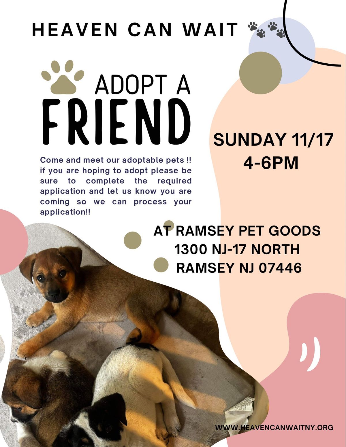 Adoption Event 11\/17 4-6pm @PetGoods Ramsey 