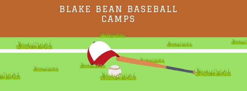 Weekly Baseball Clinics