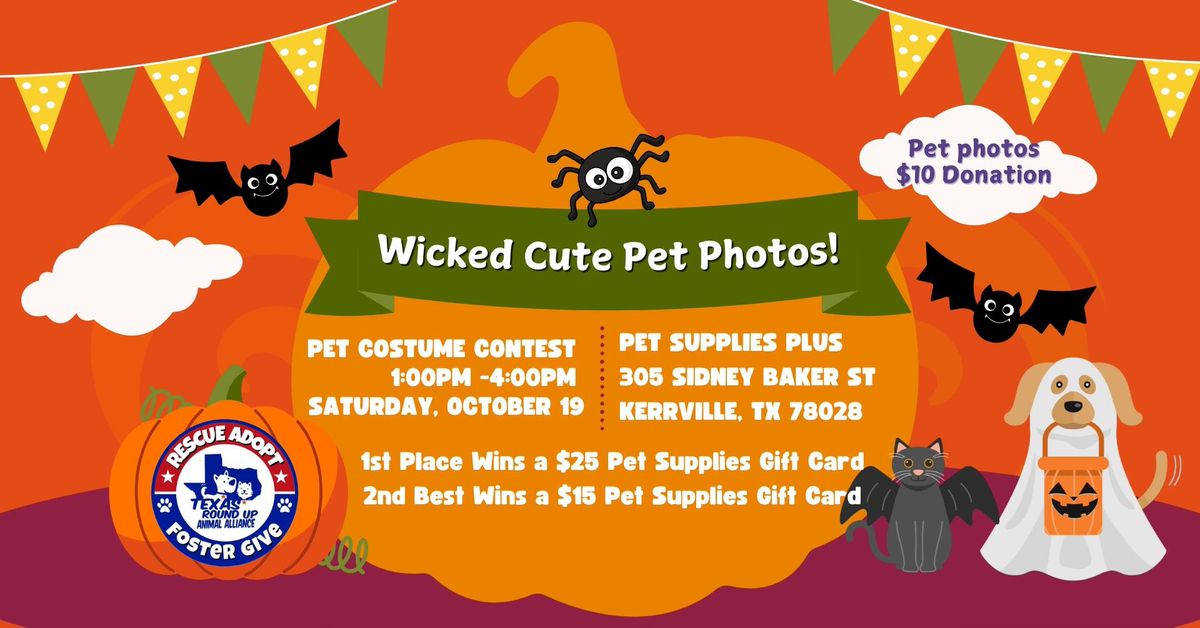 Wicked Cute Pet Photos and Costume Contest