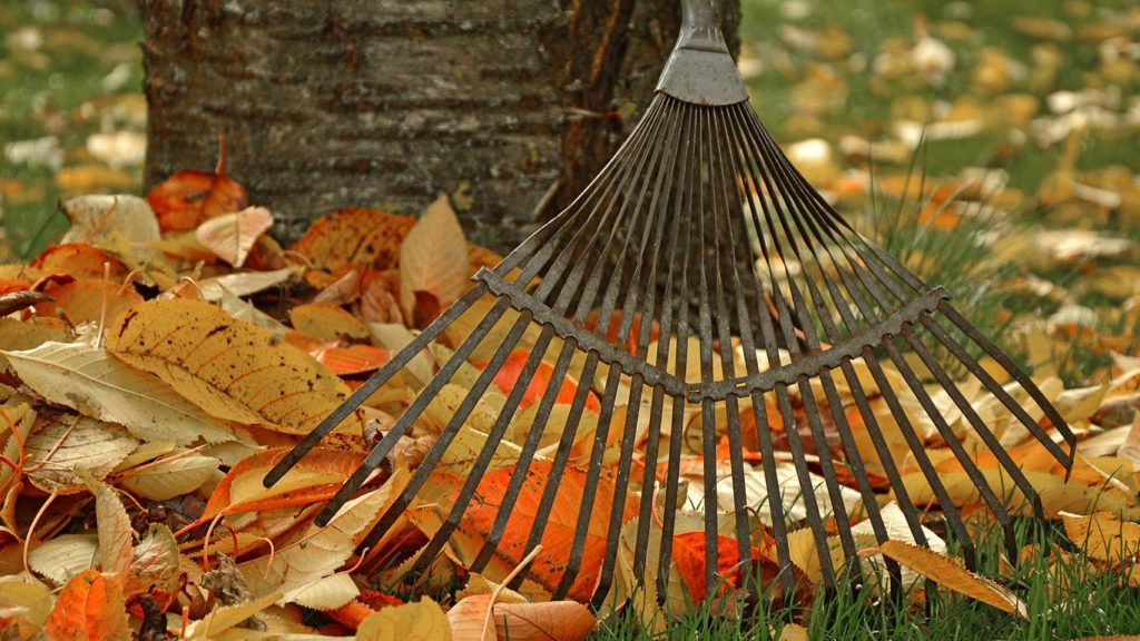 Rake Up Boise