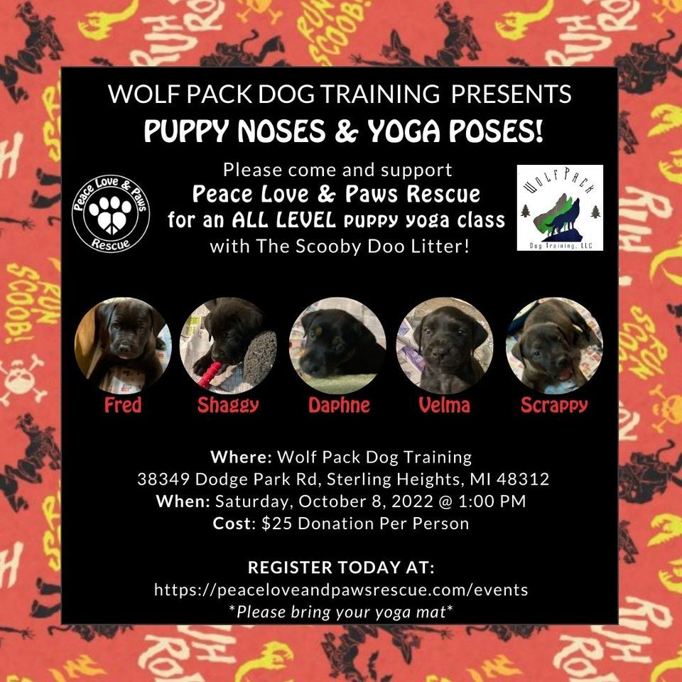 Yoga Poses and Puppy Noses, Wolf Pack Dog Training, LLC, Sterling Heights, 8 October 2022