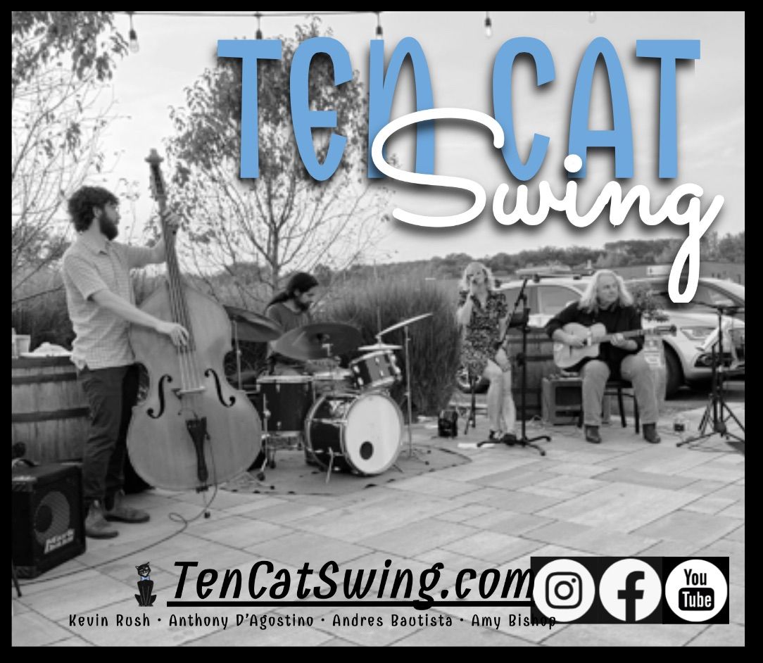 Ten Cat Swing at Friendly Tap