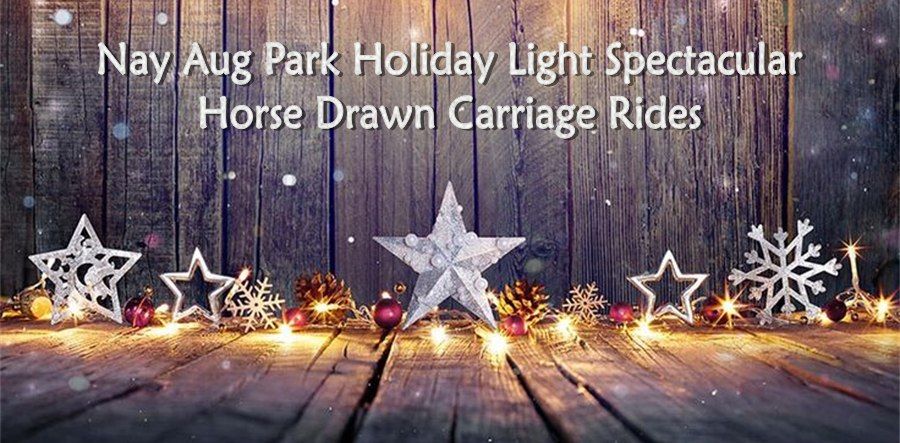 Horse Drawn Carriage Rides at Nay Aug Park Holiday Light Spectacular